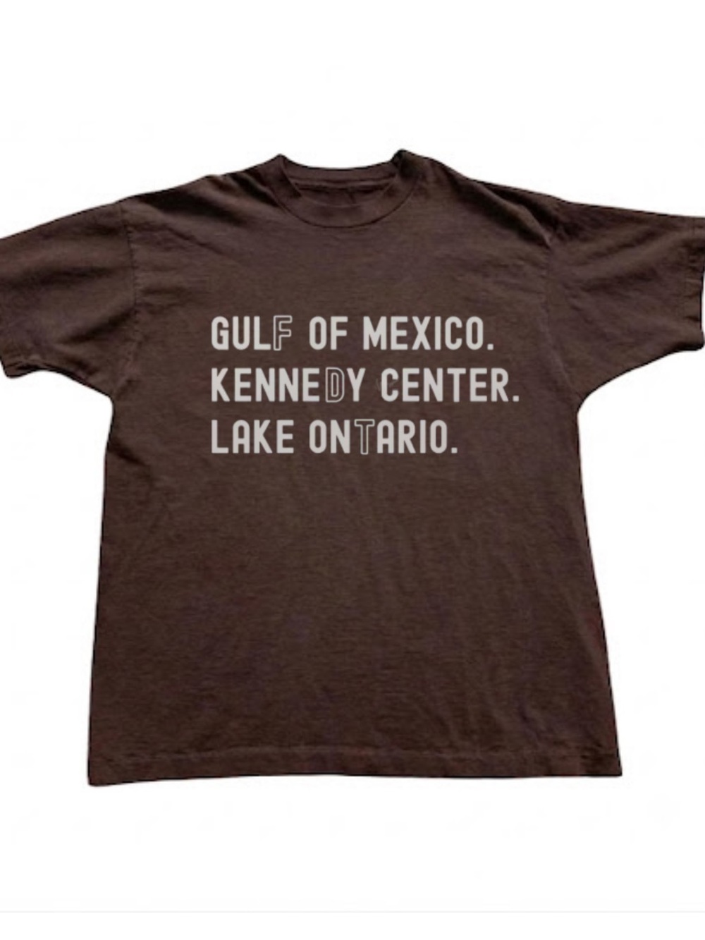Gildan Lake Ontario Brown Graphic Tee